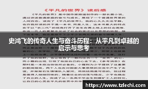史鸿飞的传奇人生与奋斗历程：从平凡到卓越的启示与思考