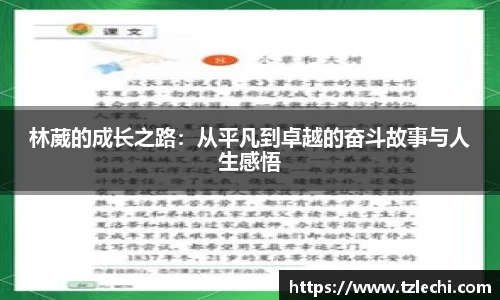 BSPORTS体育官方网站